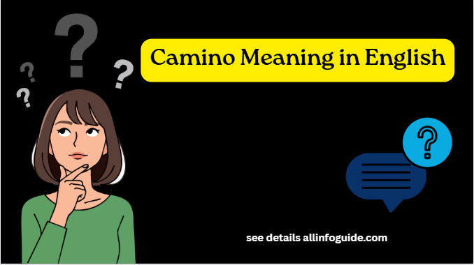 Camino Meaning in English
