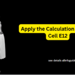 Apply the Calculation Style to Cell E12