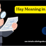 Hay Meaning in English