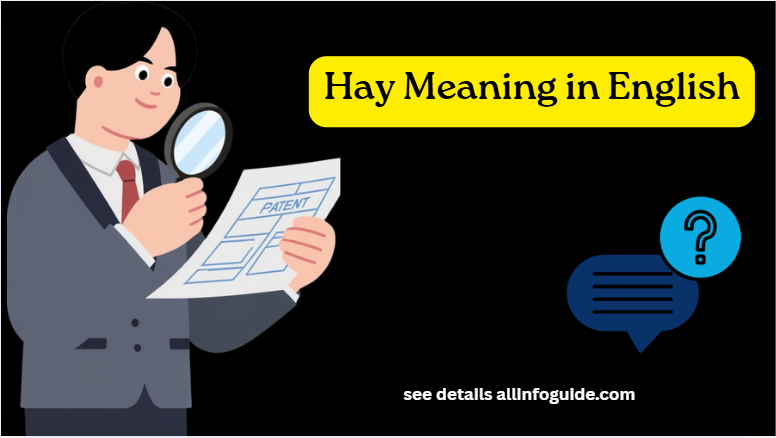 Hay Meaning in English