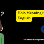 Hola Meaning in English