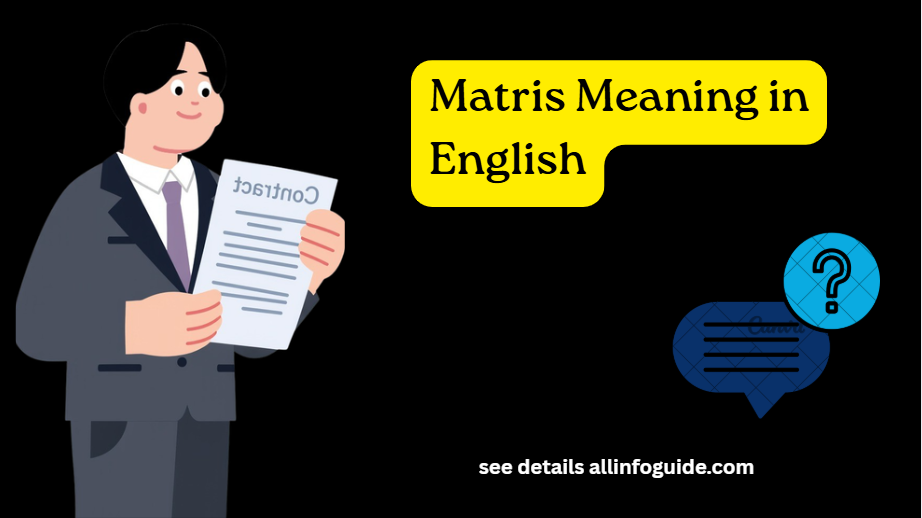 Matris Meaning in English