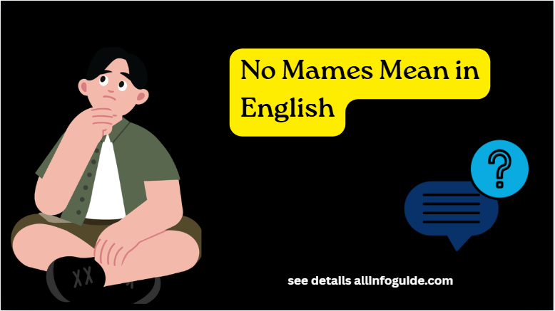 No Mames Mean in English