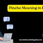 Pinche Meaning in English