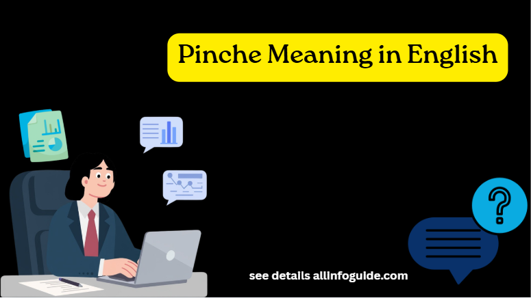 Pinche Meaning in English
