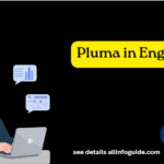 Pluma in English