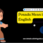 Posada Mean in English