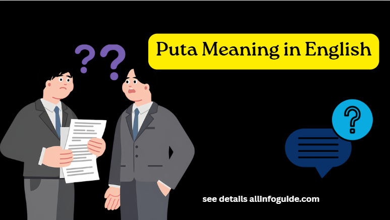 Puta Meaning in English