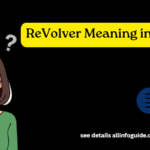 ReVolver Meaning in English