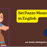 Sei Pazzo Meaning in English