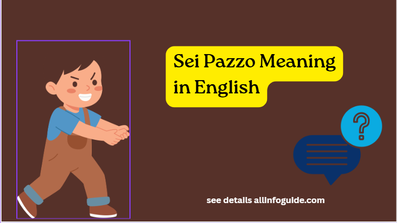 Sei Pazzo Meaning in English