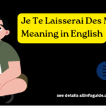 Je Te Laisserai Des Mots Meaning in English