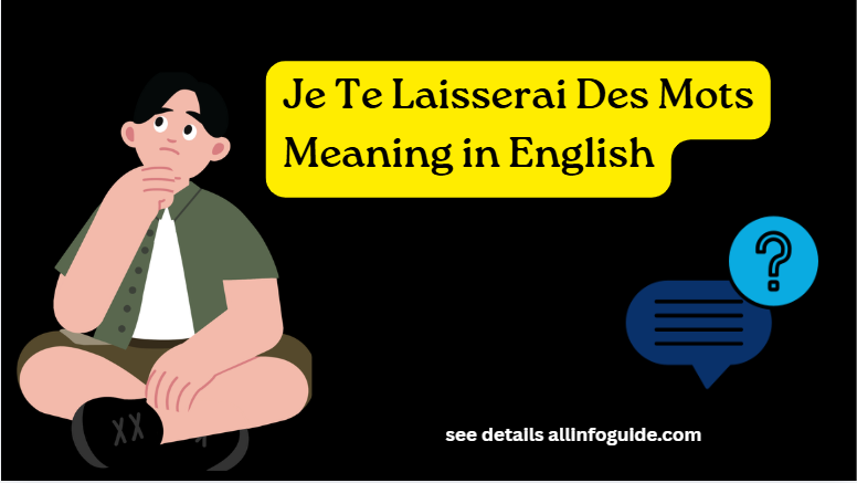 Je Te Laisserai Des Mots Meaning in English