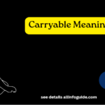 Carryable Meaning