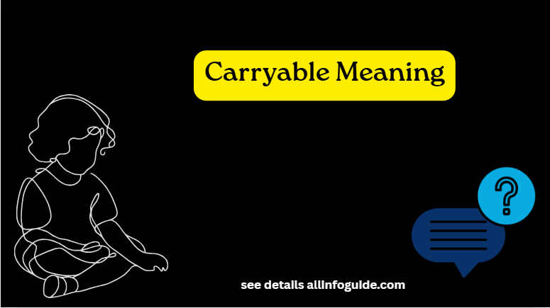 Carryable Meaning