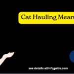 Cat Hauling Meaning