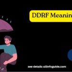 DDRF Meaning