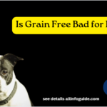 Is Grain Free Bad for Dogs