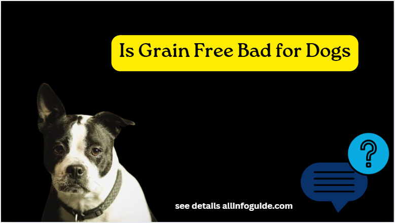 Is Grain Free Bad for Dogs
