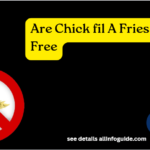 Are Chick fil A Fries Gluten Free
