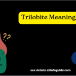 Trilobite Meaning Slang