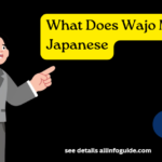 What Does Wajo Mean in Japanese