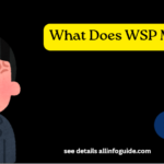What Does WSP Mean