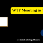 WTY Meaning in Text
