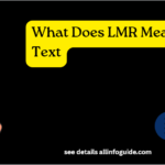 What Does LMR Mean in Text