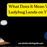 What Does It Mean When a Ladybug Lands on You