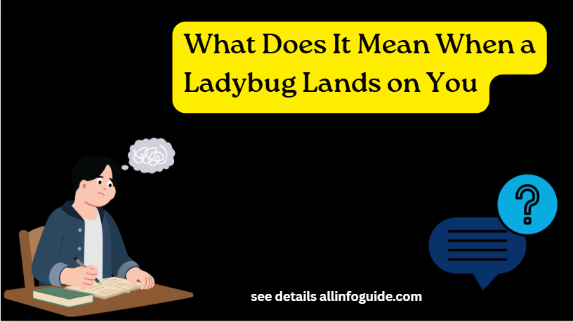 What Does It Mean When a Ladybug Lands on You