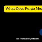 What Does Punta Mean