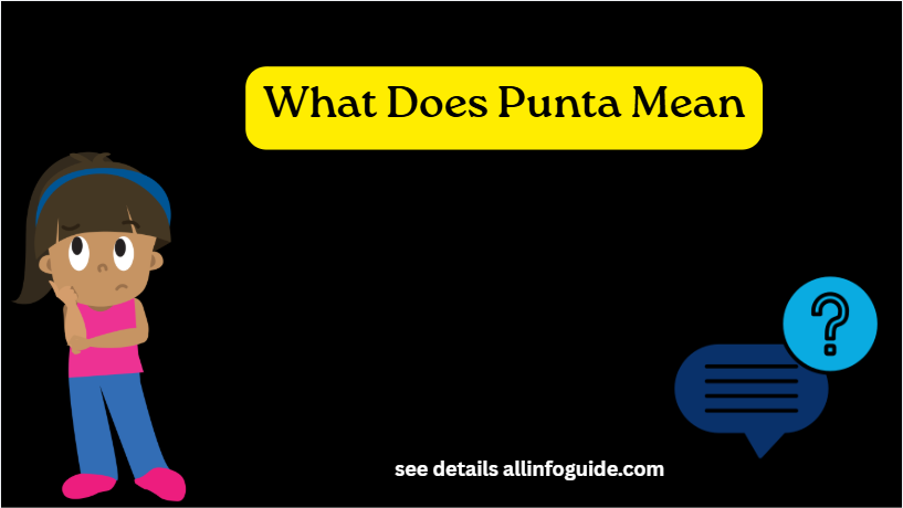 What Does Punta Mean