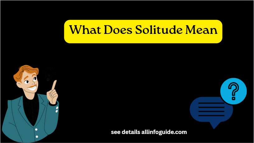 What Does Solitude Mean