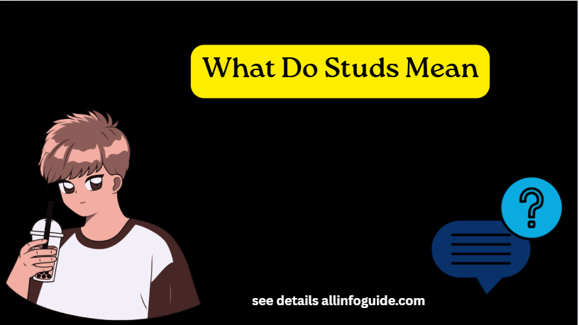 What Do Studs Mean